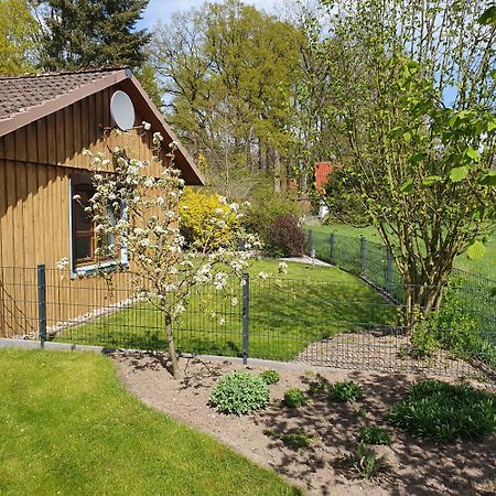 Studioferienhaus Herzogstadt-Целле Екстер'єр фото